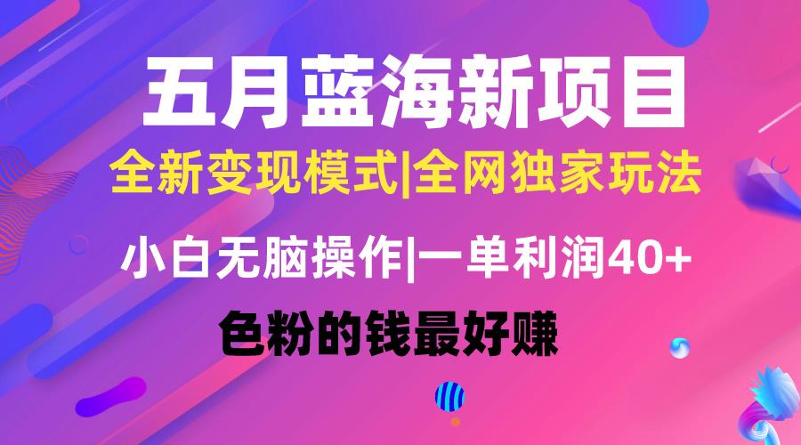 五月蓝海项目全新玩法，小白无脑操作，一天几分钟，矩阵操作，月入4万+-千创分享