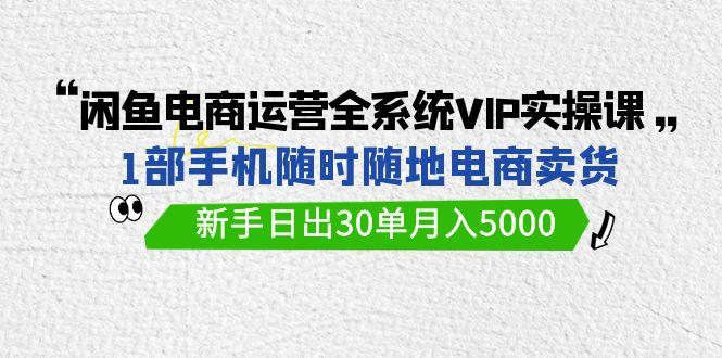 (9547期)闲鱼电商运营全系统VIP实战课，1部手机随时随地卖货，新手日出30单月入5000-千创分享
