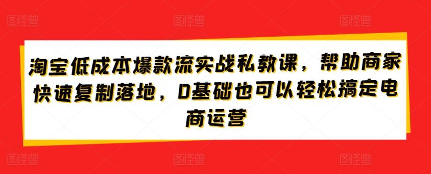 淘宝低成本爆款流实战私教课，帮助商家快速复制落地，0基础也可以轻松搞定电商运营-千创分享