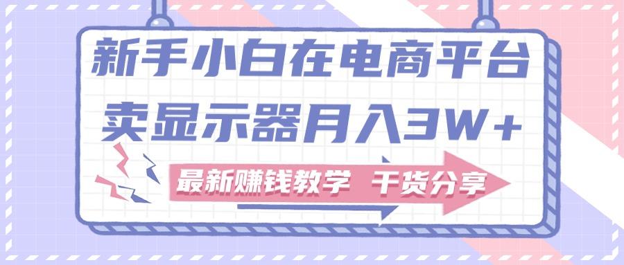 新手小白如何做到在电商平台卖显示器月入3W+，最新赚钱教学干货分享-千创分享