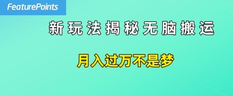 简单操作，每天50美元收入，搬运就是赚钱的秘诀【揭秘】-千创分享