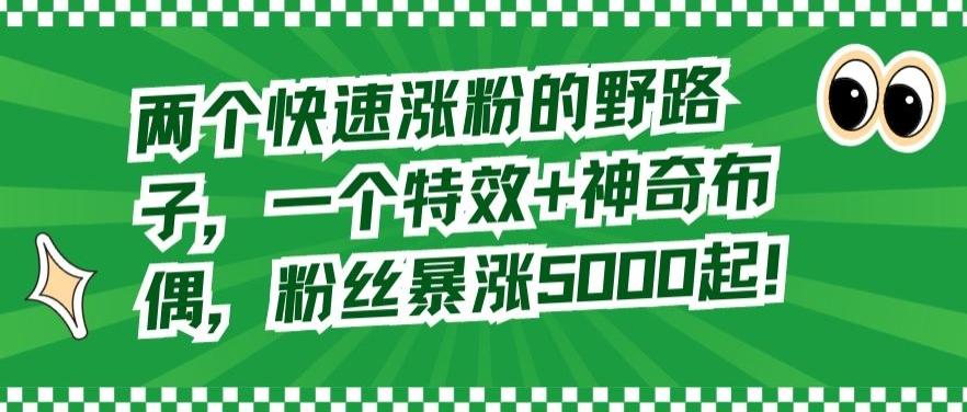 两个快速涨粉的野路子，一个特效+神奇布偶，粉丝暴涨5000起【揭秘】-千创分享