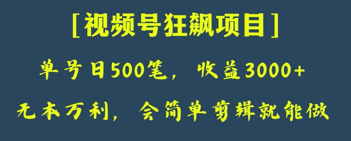 日收款500笔，纯利润3000+，视频号狂飙项目，会简单剪辑就能做【揭秘】-千创分享