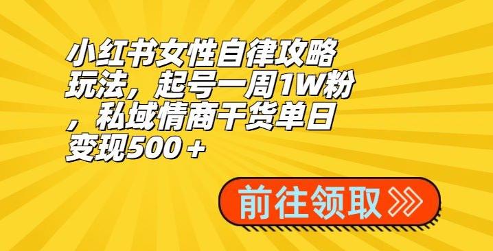小红书女性自律攻略玩法，起号一周1W粉，私域情商干货单日变现500＋-千创分享