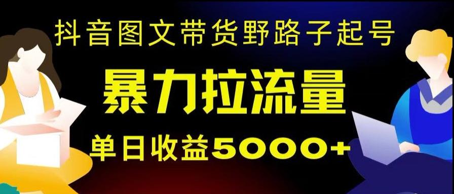 抖音图文带货暴力起号，单日收益5000+，野路子玩法，简单易上手，一部手机即可【揭秘】-千创分享