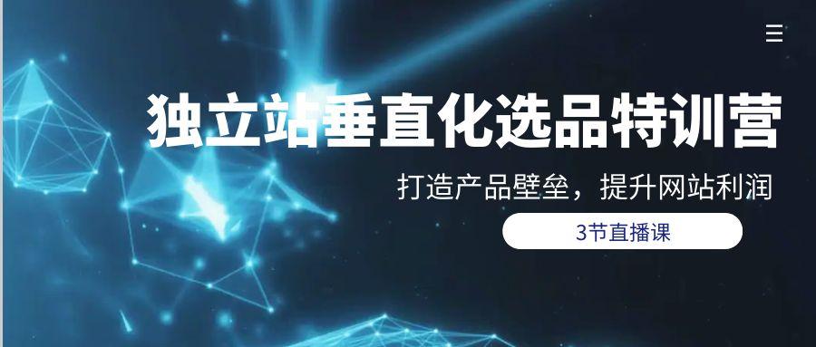 (9925期)独立站-垂直化选品训练营，打造产品壁垒，提升网站利润(3节直播课)-千创分享