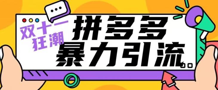 【首发】双十一拼多多暴力引流，日引300+微信-千创分享