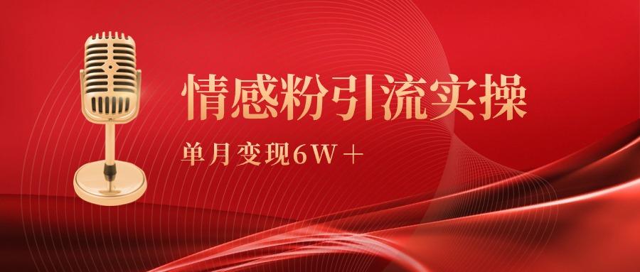 (9473期)单月变现6w+，情感粉引流变现实操课-千创分享