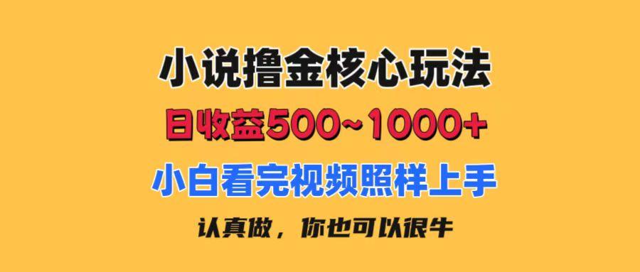 小说撸金核心玩法，日收益500-1000+，小白看完照样上手，0成本有手就行-千创分享