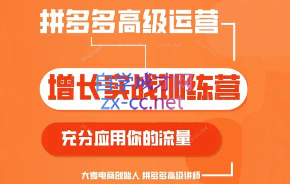 大麦老师·拼多多单品爆款打造课程(更新6月)-千创分享