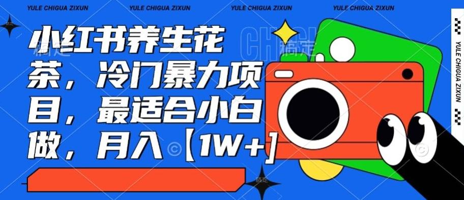 小红书养生花茶，冷门暴力项目，最适合小白做，月入【1W+】-千创分享