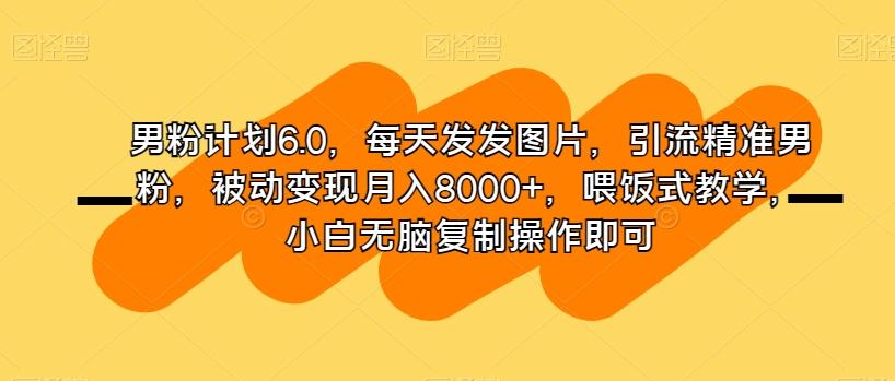男粉计划6.0，每天发发图片，引流精准男粉，被动变现月入8000+，喂饭式教学，小白无脑复制操作即可-千创分享
