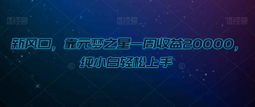 新风口，靠元梦之星一周收益20000，纯小白轻松上手-千创分享