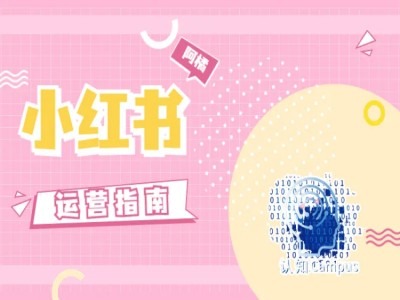 小红书运营指南，没有套路，全是经验-千创分享