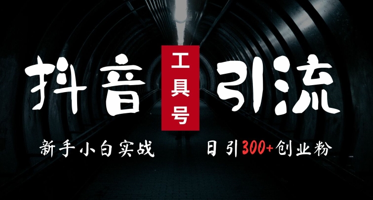 2024最新抖音工具号引流玩法，高效日引300+创业粉，当天变现5k，小白也可成为实战高手-千创分享