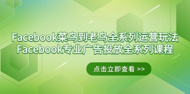 Facebook-菜鸟到老鸟全系列运营玩法+Facebook-专业广告投放全系列课程-千创分享