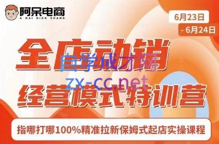 阿呆电商·全店动销经营模式特训营(线下录音+思维导图)-千创分享