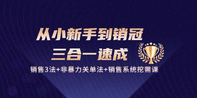 从小新手到销冠 三合一速成：销售3法+非暴力关单法+销售系统挖需课 (27节-千创分享