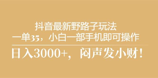 抖音最新野路子玩法，一单35，小白一部手机即可操作，，日入3000+，闷…-千创分享